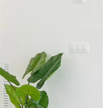 M A R I V E N T 03 Appartement *